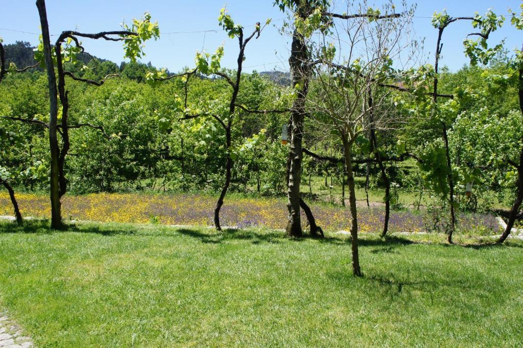 Villa Quinta Travessa Vieira do Minho Esterno foto