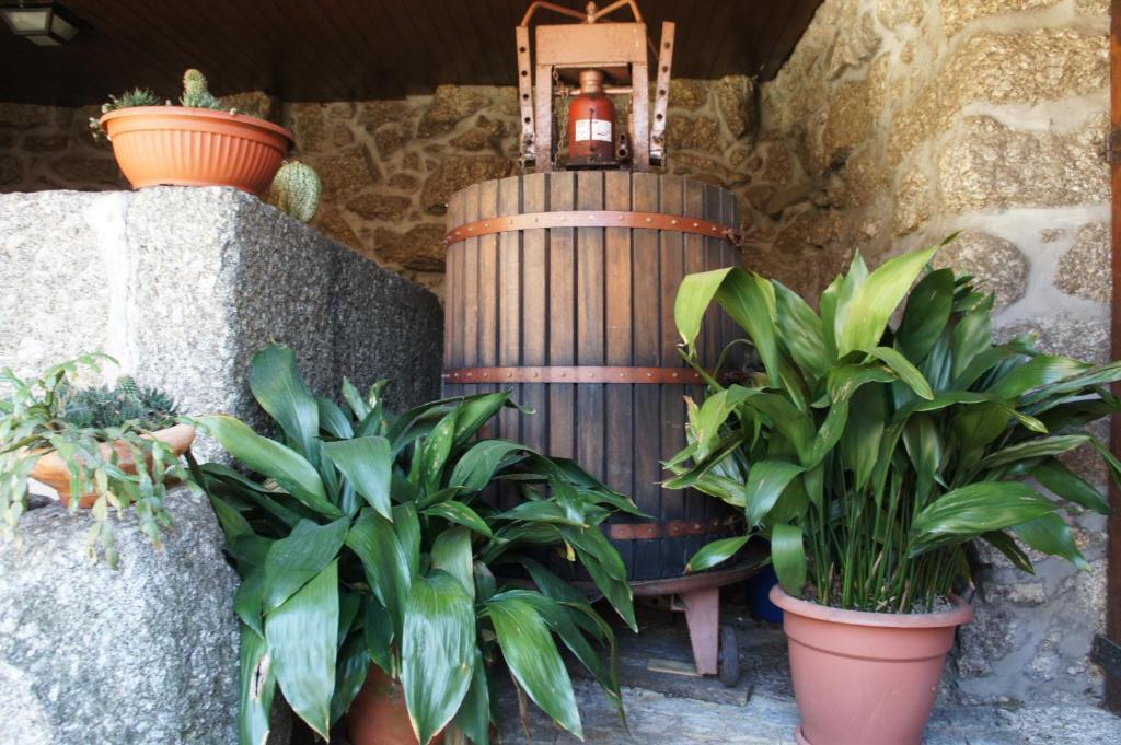 Villa Quinta Travessa Vieira do Minho Esterno foto